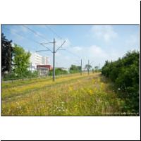 2012-07-04 23 Schwabing Nord (1).jpg